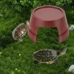 Reptielen schuilgrot met zonneplatform - Afbeelding 5