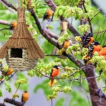 Hangend vogelhuisje - Afbeelding 3