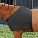 Elastische borst- en schouderbeschermer voor paarden – zwart