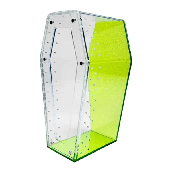 Acryl terrarium voor springspinnen – Groen