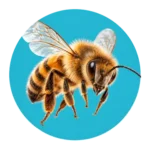 Insecten