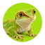 Reptielen & amfibieën