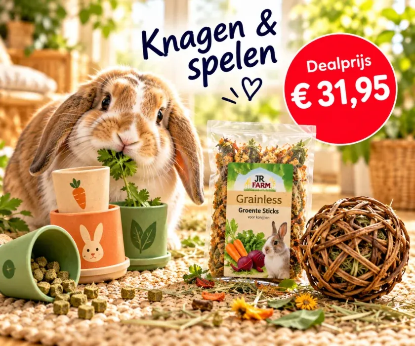 Konijn met knaag- en speelsfeer, combidealprijs € 31,95. Afbeelding ter illustratie.