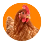 Tuin & erfdieren